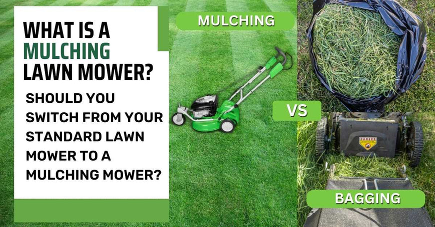 What is a mulching lawn mower?