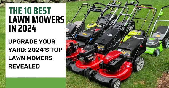 The 10 Best Lawn Mowers in 2024