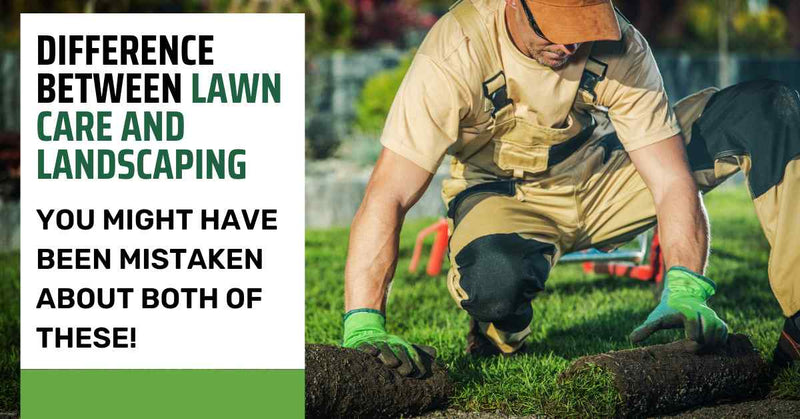 Difference Between Lawn Care And Landscaping