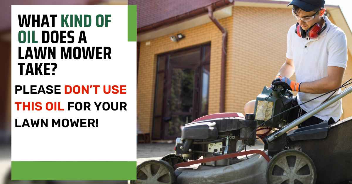 What Kind Of Oil Does A Lawn Mower Take?