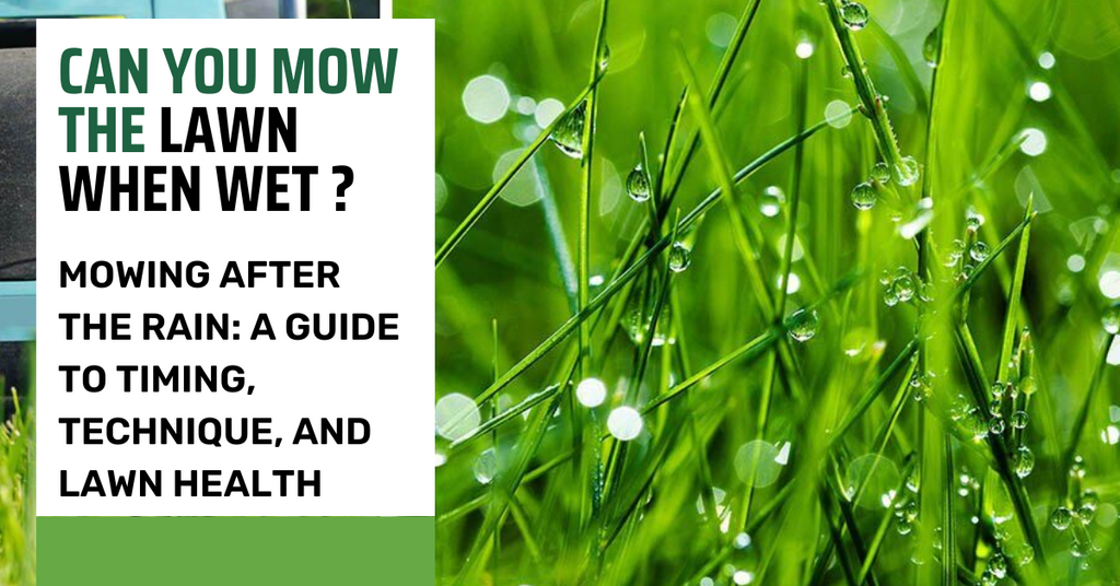 can you mow the lawn when wet